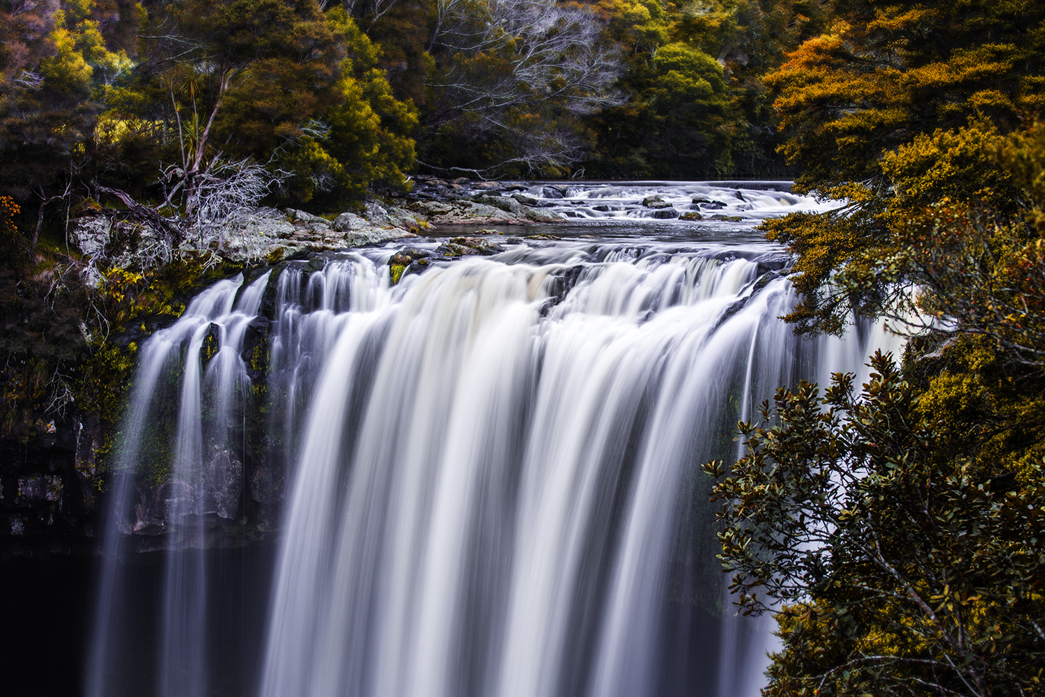 Forgiven Photography - Landscapes