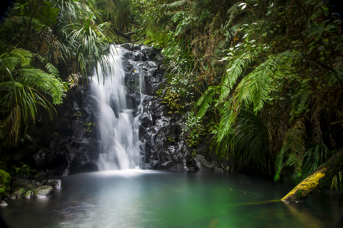 Fairy Falls